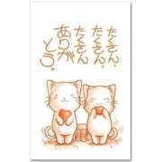 ヒメ日記 2026/08/16 07:11 投稿 ゆみか ふぞろいの人妻たち