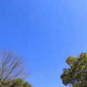 ヒメ日記 2026/07/27 14:33 投稿 まい 奥様電車