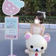 ヒメ日記 2026/09/17 13:58 投稿 姫瑠/メル ギャルズネットワーク 姫路