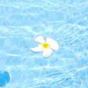 ヒメ日記 2026/08/12 06:56 投稿 三田村　せい しこたま奥様 札幌店