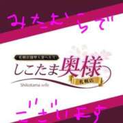 ヒメ日記 2026/09/14 06:06 投稿 三田村　せい しこたま奥様 札幌店