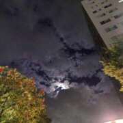 ヒメ日記 2026/09/26 20:56 投稿 三田村　せい しこたま奥様 札幌店