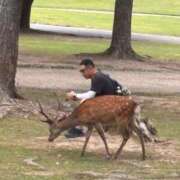 ヒメ日記 2026/07/27 12:31 投稿 ゆあん 高級オナクラ　ひよこクラブ