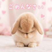 ヒメ日記 2026/08/25 14:12 投稿 佳代 出会い系人妻ネットワーク 上野〜大塚編