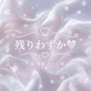 ヒメ日記 2026/09/01 14:41 投稿 雪星　こころ NADIA神戸店