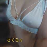 ヒメ日記 2026/09/28 04:44 投稿 さくら 肌水