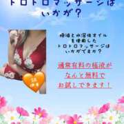 ヒメ日記 2026/10/14 19:30 投稿 伊東さん SA～Sanitatem Angelum～癒やしの天使