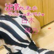 ヒメ日記 2026/08/19 11:41 投稿 白木琴乃 TOKYO五十路マダムin池袋（カサブランカグループ）