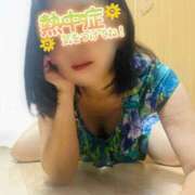 ヒメ日記 2026/08/24 12:33 投稿 白木琴乃 TOKYO五十路マダムin池袋（カサブランカグループ）