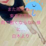 ヒメ日記 2026/09/03 15:45 投稿 白木琴乃 TOKYO五十路マダムin池袋（カサブランカグループ）