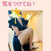 白木琴乃 凄い事になってるけど TOKYO五十路マダムin池袋（カサブランカグループ）