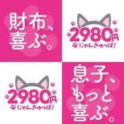 ヒメ日記 2026/09/02 17:46 投稿 めあ 2980円（にゃんきゅっぱ）