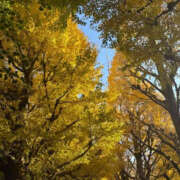 ヒメ日記 2026/10/23 11:13 投稿 なつ 見学娘