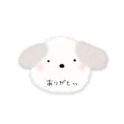 ヒメ日記 2026/08/15 23:01 投稿 花村なのは 彩タマンサ（埼玉ハレ系）