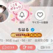 ヒメ日記 2026/10/09 12:15 投稿 ちはる Premier(プレミア)