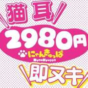 ヒメ日記 2026/09/02 14:16 投稿 しゅうか 2980円（にゃんきゅっぱ）