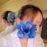 ヒメ日記 2026/10/12 10:30 投稿 青山　えり セクシーキャット 神田店