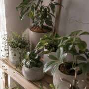 ヒメ日記 2026/08/01 19:09 投稿 【SP】あやみ サマンサ 堺店