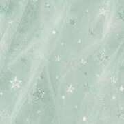 ヒメ日記 2026/07/29 02:47 投稿 新人セイラ Celeb Garden(セレブガーデン)