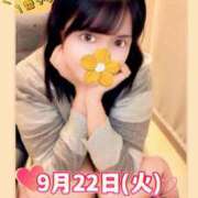 ヒメ日記 2026/09/20 20:50 投稿 めいみ×フェラ好き×お姉さん ぽちゃぱい