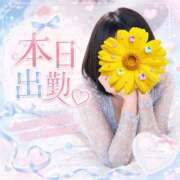 ヒメ日記 2026/09/03 16:58 投稿 加藤みか お姉さんLABO -艶-
