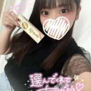 ハルヒ 入店準備? アリスマリオン