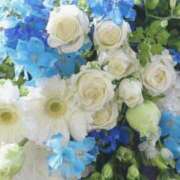 ヒメ日記 2026/07/28 08:35 投稿 加藤ゆめ こあくまな熟女たち豊橋店（KOAKUMAグループ）