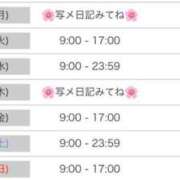 ヒメ日記 2026/08/03 17:19 投稿 ましろ 桜坂