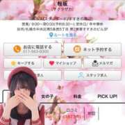 ヒメ日記 2026/08/06 03:20 投稿 ましろ 桜坂