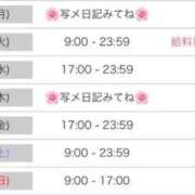 ヒメ日記 2026/08/24 01:49 投稿 ましろ 桜坂