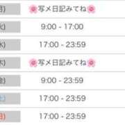 ヒメ日記 2026/09/05 01:40 投稿 ましろ 桜坂