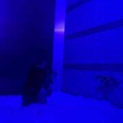 ヒメ日記 2026/09/08 05:39 投稿 ひかる ラブコレ