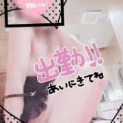 ヒメ日記 2026/09/04 07:14 投稿 さつき 人妻カーラ伝説  THE  J-MILF  CLUB  YOKOHAMA