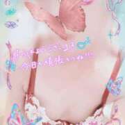 ヒメ日記 2026/09/09 08:54 投稿 さつき 人妻カーラ伝説  THE  J-MILF  CLUB  YOKOHAMA