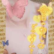ヒメ日記 2026/10/12 07:14 投稿 さつき 人妻カーラ伝説  THE  J-MILF  CLUB  YOKOHAMA