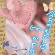 ヒメ日記 2026/10/05 16:30 投稿 さつき もしも素敵な妻が指輪をはずしたら・・・