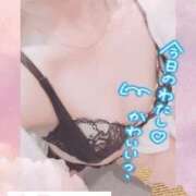 ヒメ日記 2026/10/09 10:20 投稿 さつき もしも素敵な妻が指輪をはずしたら・・・