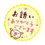 ヒメ日記 2026/08/01 09:59 投稿 わか 茨城日立ちゃんこ