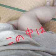 ヒメ日記 2026/08/15 15:09 投稿 わか 茨城日立ちゃんこ