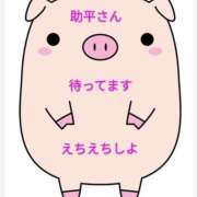ヒメ日記 2026/08/19 12:29 投稿 わか 茨城日立ちゃんこ