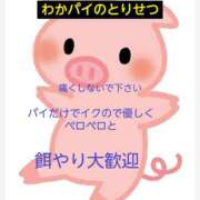 ヒメ日記 2026/08/21 13:59 投稿 わか 茨城日立ちゃんこ