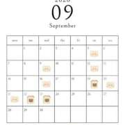 ヒメ日記 2026/09/04 14:50 投稿 もえ エディーズ