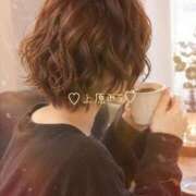 ヒメ日記 2026/09/23 12:04 投稿 上原みう ウフフな40。ムフフな50。。（横浜ハレ系）