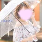 ヒメ日記 2026/09/30 12:15 投稿 上原みう ウフフな40。ムフフな50。。（横浜ハレ系）