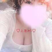 ヒメ日記 2026/10/01 12:15 投稿 上原みう ウフフな40。ムフフな50。。（横浜ハレ系）