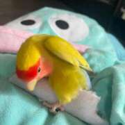 ヒメ日記 2026/08/24 08:46 投稿 沙和 新潟市鳥屋野潟ちゃんこ