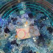 ヒメ日記 2026/09/03 15:16 投稿 くるみ 足利ソープ SBC