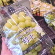 ヒメ日記 2026/08/19 06:46 投稿 月森琴音 五十路マダム　和歌山店