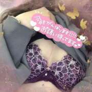 ヒメ日記 2026/09/20 09:33 投稿 うた 熊谷人妻城
