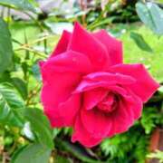 あさひ ご無沙汰です？ ニュー不夜城